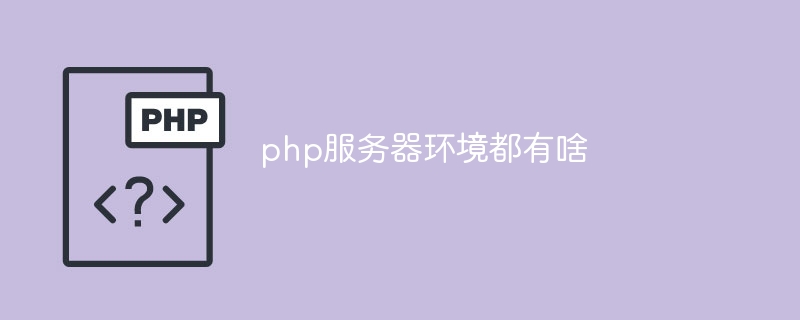 php服务器环境都有啥